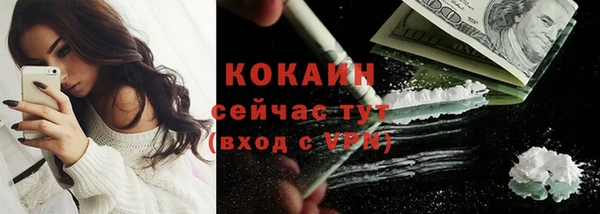 стафф Аркадак