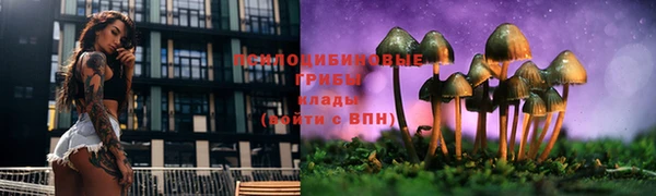 бошки Армянск