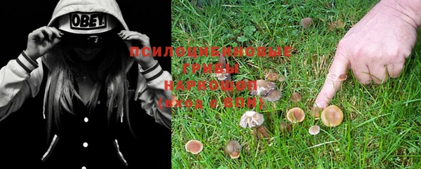 стафф Аркадак