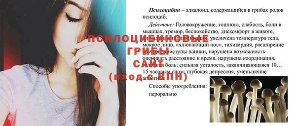 бошки Армянск