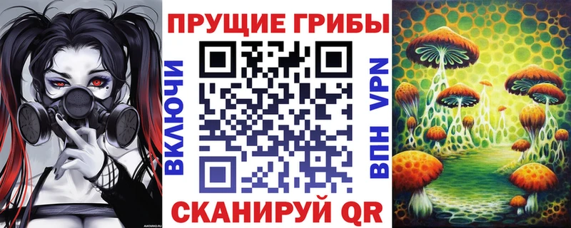 Галлюциногенные грибы Magic Shrooms  закладка  Унеча 