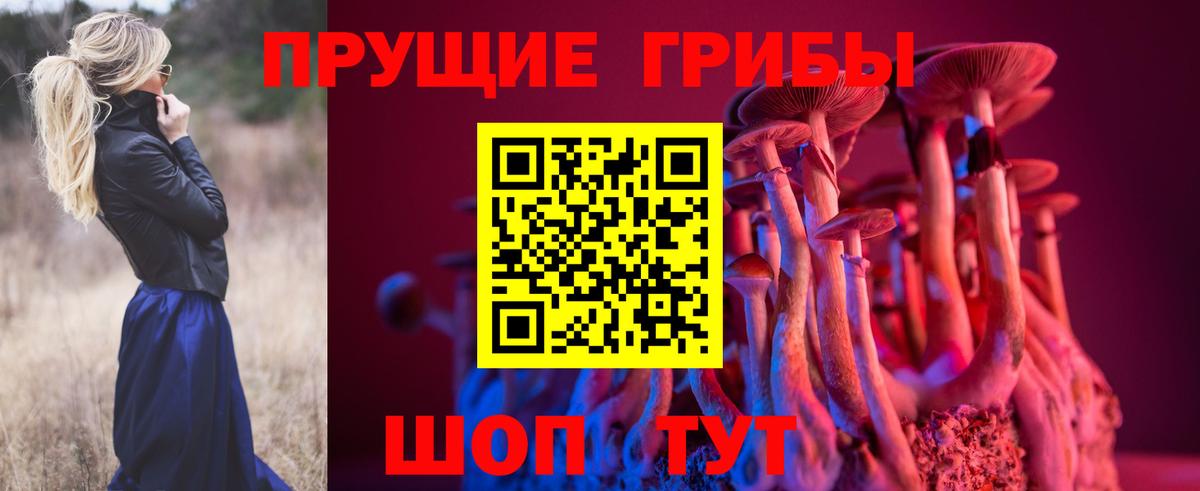 Псилоцибиновые грибы Cubensis  что такое   Унеча  Вход с VPN 