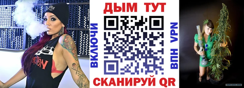 где найти   Унеча  Бошки Шишки Amnesia 